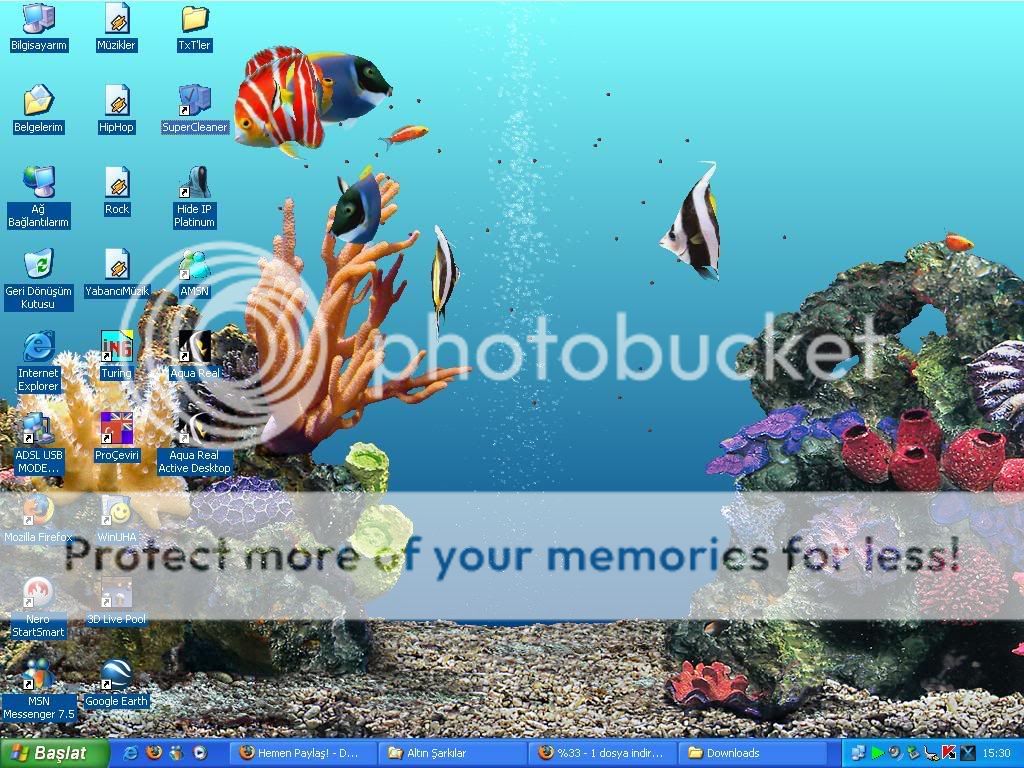 aquareal2.jpg