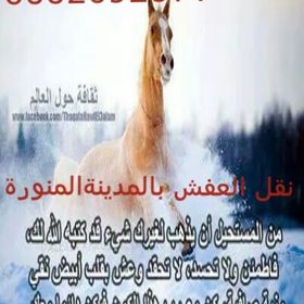 www.pinterest.com
