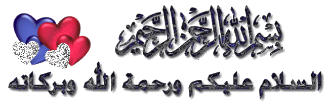 13409193297.gif