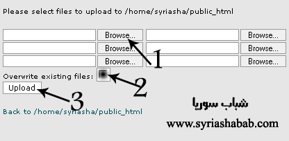 27561.imgcache