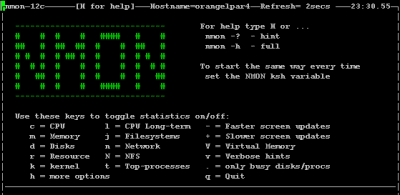 nmon2.gif