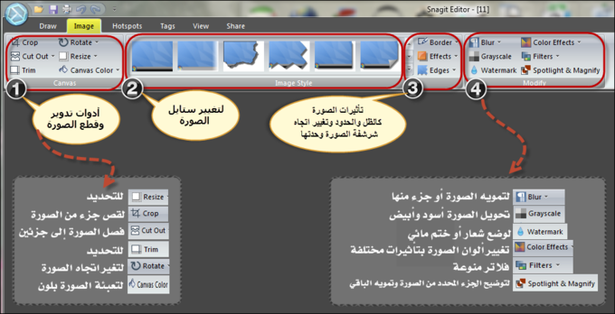 16+snagit+11+2013.png