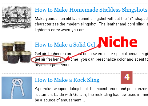 How+to+choose+a+niche+in+ehow.com+for+your+adsense+niche+site.png