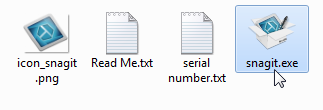 3+snagit+11+2013.png