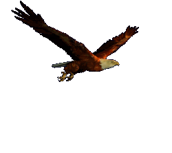 26a0eade45sv7jt7.gif