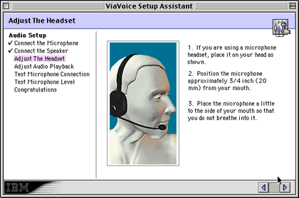 viavoice-setup-assistant.gif